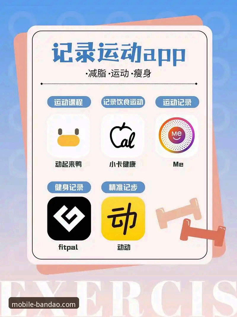 半岛体育手机版手机版教程：App最新版本与官网下载的全面对比，哪个更好用？